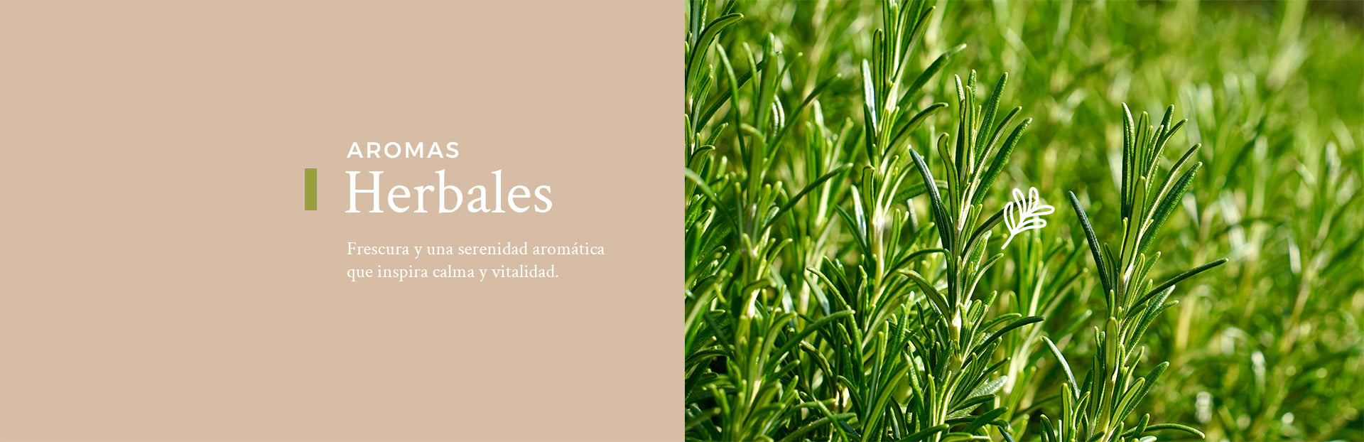 Herbales
