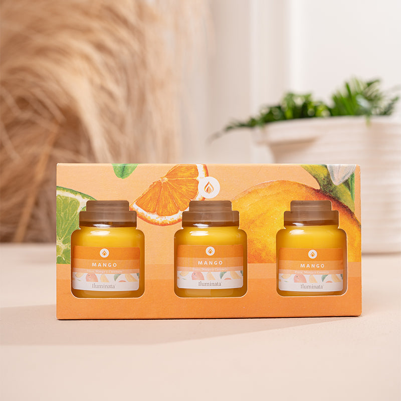 Kit vaso v57 x3 und Mango