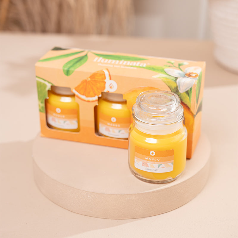 Kit vaso v57 x3 und Mango
