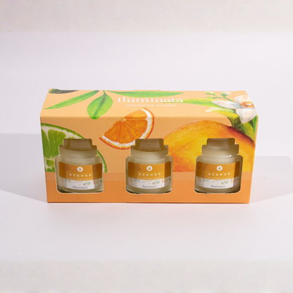 KIT VELA VASO X3 UND. AZAHAR